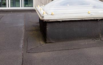disadvantages of Tynehead flat roofs