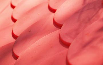 Tynehead plastic roof costs