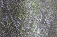 Tynehead fibreglass roof work